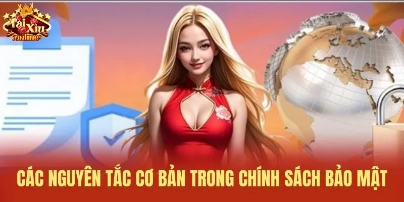 Các nguyên tắc cơ bản trong chính sách bảo mật