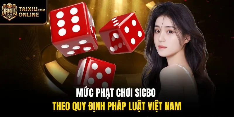 Mức phạt chơi Sicbo theo quy định pháp luật Việt Nam